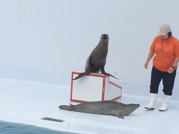 鶴岡市立加茂水族館①ももこ&アンジュの絶妙コンビ 微笑ましい姿にパチリ
