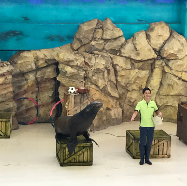 アシカショーでパチリ