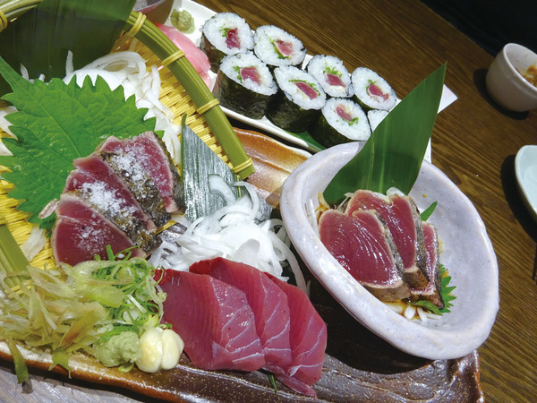 高知でカツオ料理を満喫!