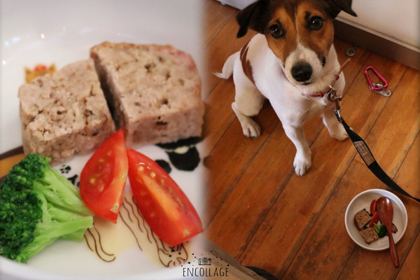 Dog cafeにて、ジョイスの為にミートローフを オーダー♪”早くちょーだい”