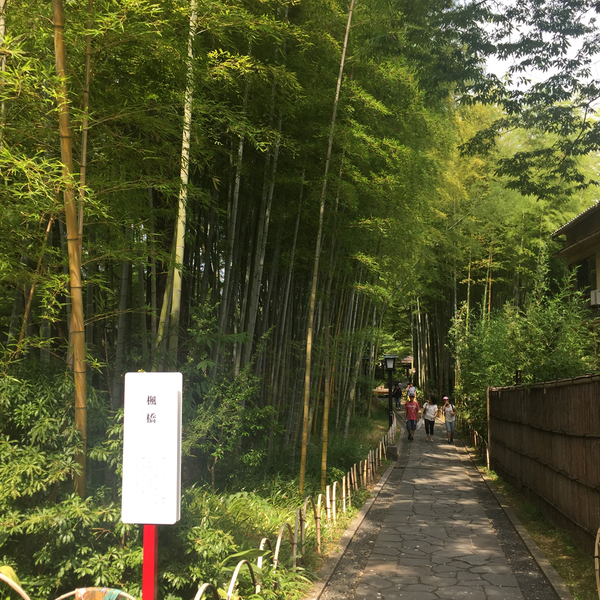竹林の小径で