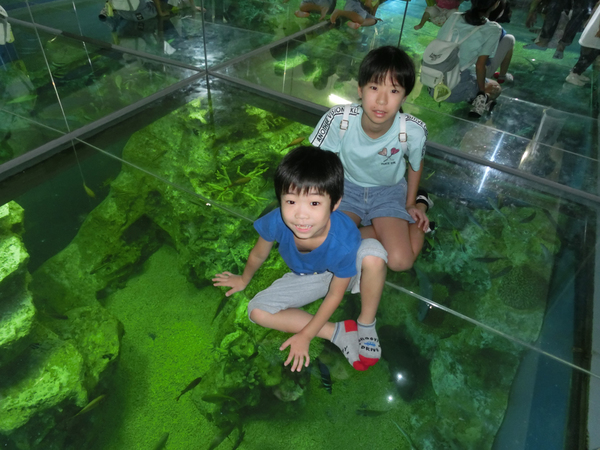 越前松島水族館で。ガラス張りの水槽は、まるで海に浮かんでいる気分。。。