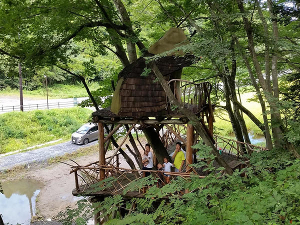 復興の森ツリーハウスにて。（宮城県東松島市）