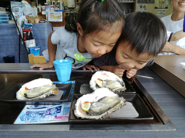 うまそう～！！（岩手県陸前高田市広田湾牡蠣小屋）