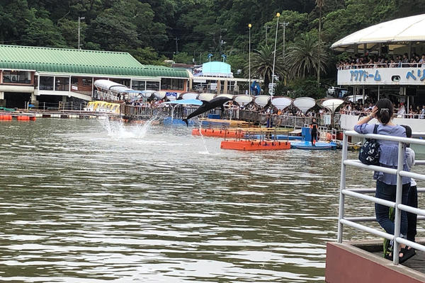 下田の水族館は海の上にあり、ビックリしました!