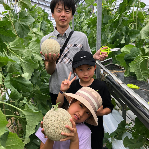 人生初のメロン狩り