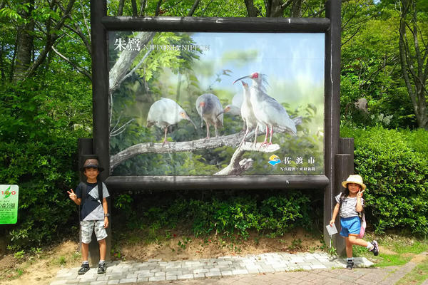 トキの森公園