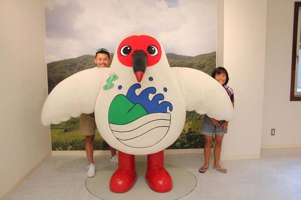 朱鷺(トキ)を見に行きました