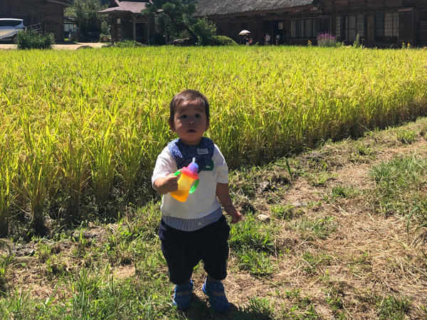 大自然と僕