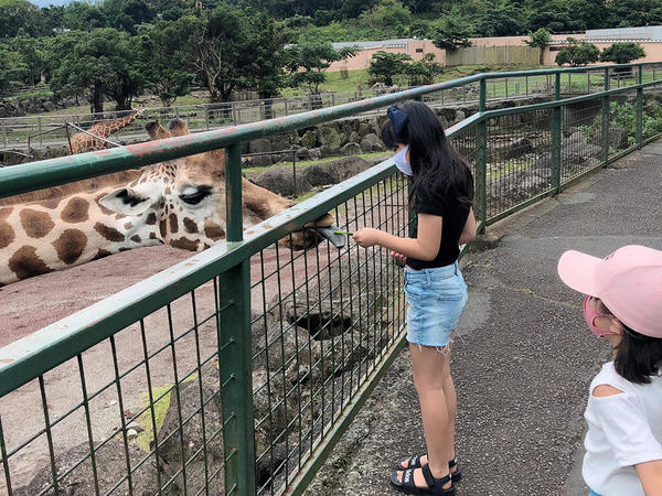 初めてのキリンに餌やり！キリンの舌が長くてビックリ！！