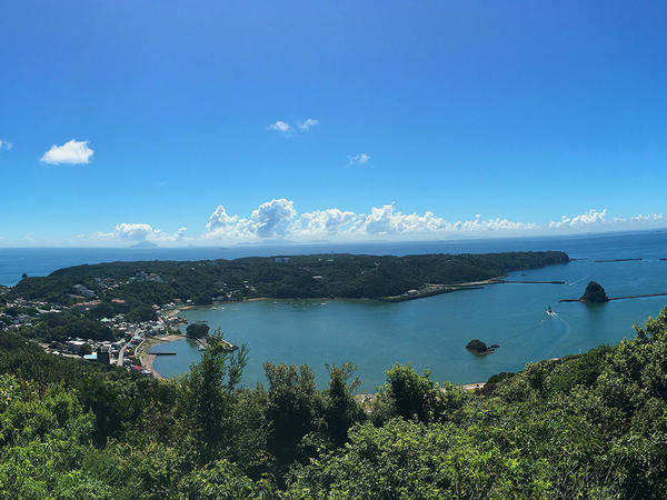 寝姿山:下田湾