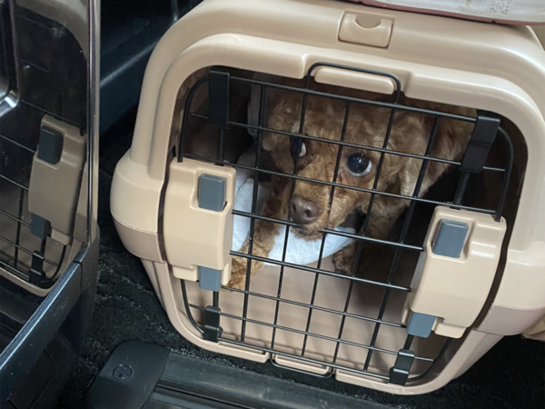 めいちゃんもみんなと一緒に行けて嬉しいね!