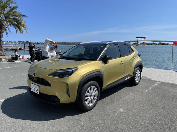 弁天島海浜公園で鳥居をバックに