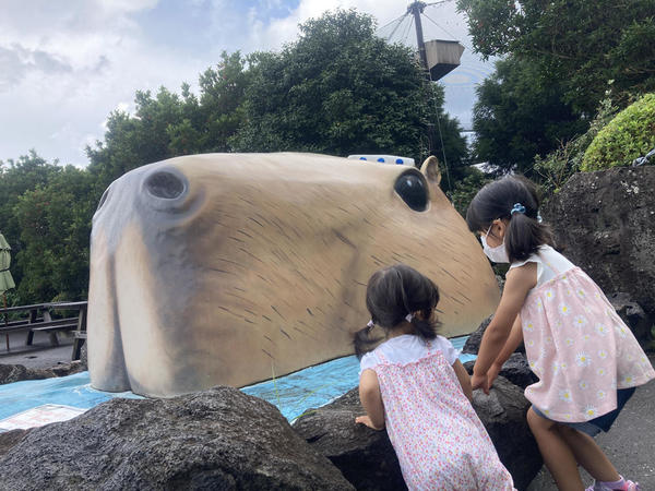 シャボテン公園到着!
