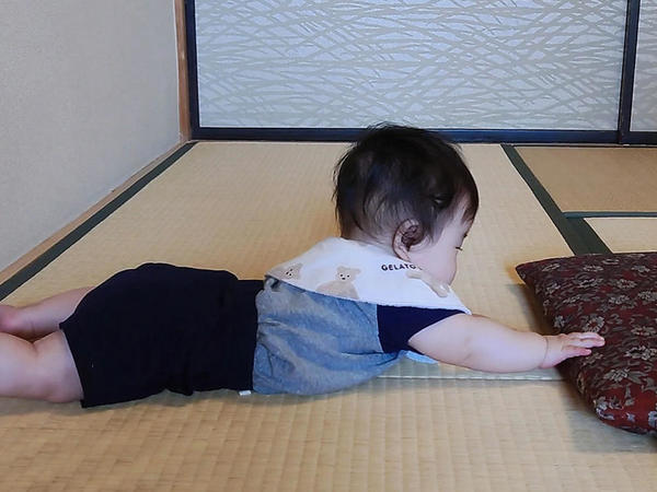 初めての畳に大興奮