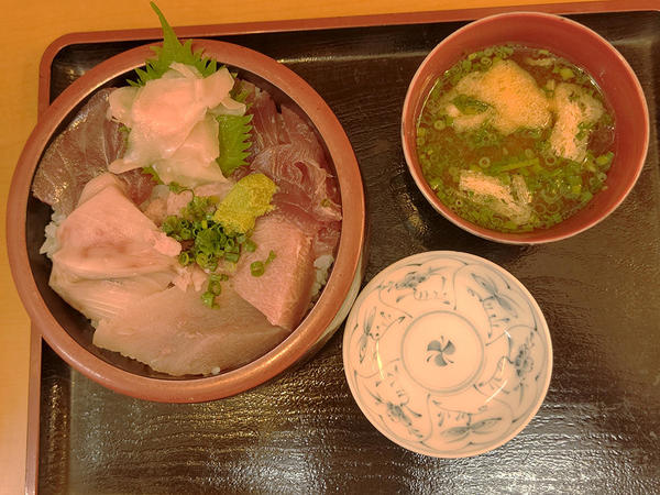 来たぜ!焼津のさかなセンターへ