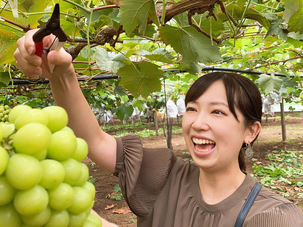 思ったより重いぶどうにびっくり!