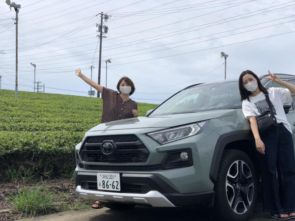茶畑とRAV4のショット
