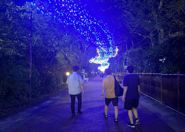 時之栖で夜のお散歩!