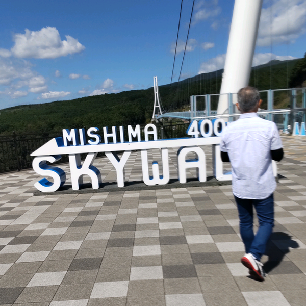 今から吊り橋渡ります
