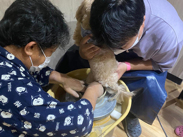 陶芸作りに初挑戦!愛犬の手型押しに苦戦中