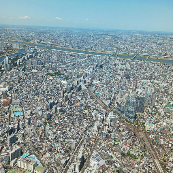 展望台からのながめは素晴らしい!