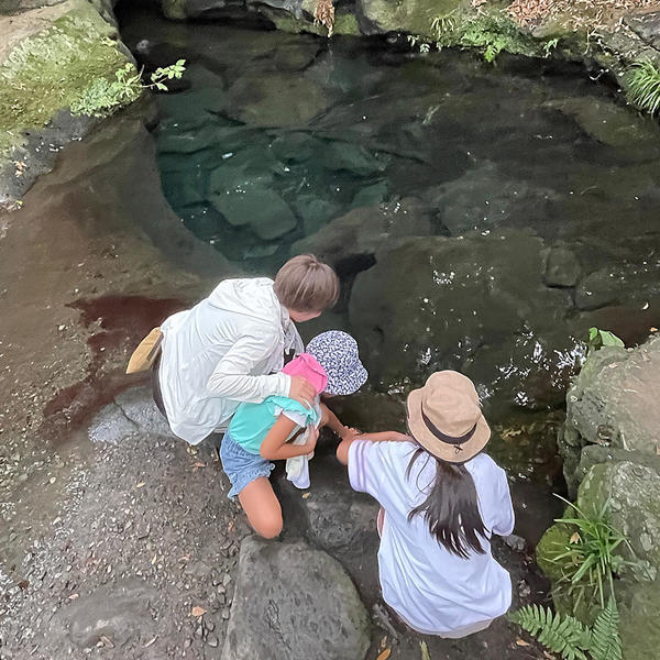 白糸の滝のお鬢水は透き通っていました