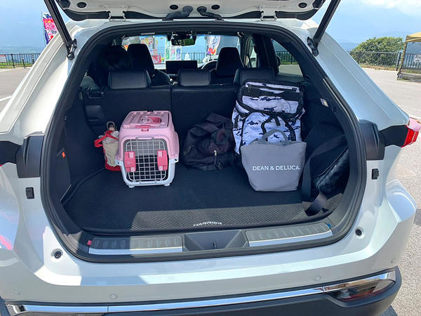 日帰り旅行だったため荷物は多くありませんでしたが、ラゲージスペースは広々してました