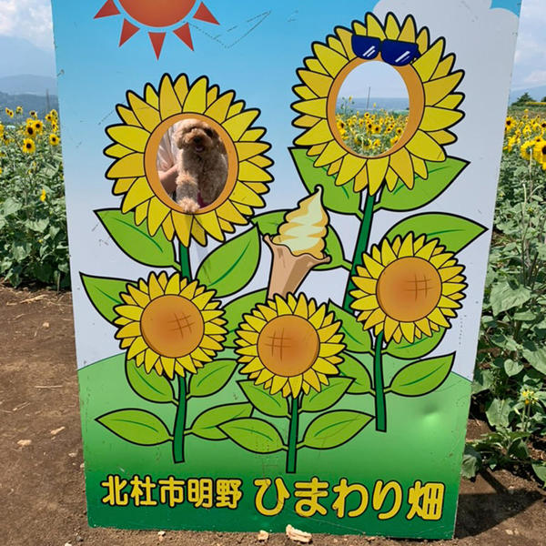 愛犬は顔抜きが恥ずかしいみたいで前足で抵抗してました(笑)