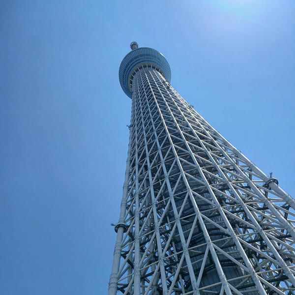 展望台までいくぞー!