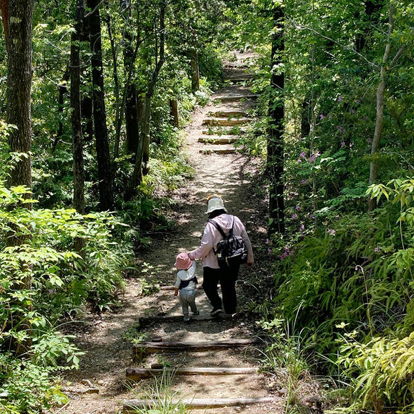 まだ2歳だけど、山の中を頑張って歩きました！ 