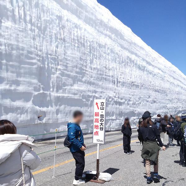 最大13M雪の壁ダイナミック