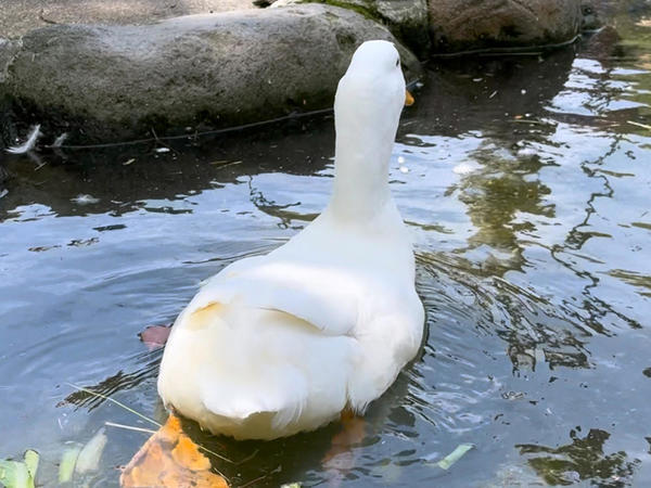 生命保険会社からやってきたのかな？