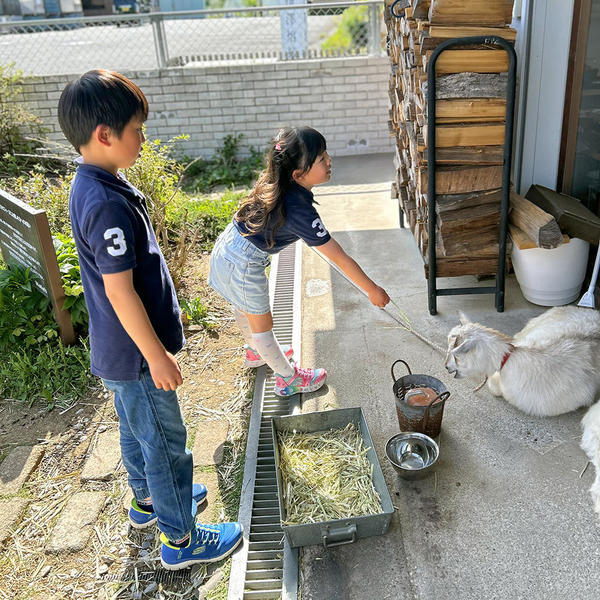 ヤギさん、どうぞ召し上がれ！