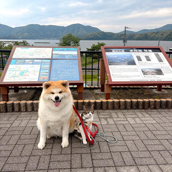 三方五湖をバッグに記念撮影
