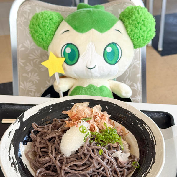 鬼押出し園で食べた「鬼推しおろしそば」
