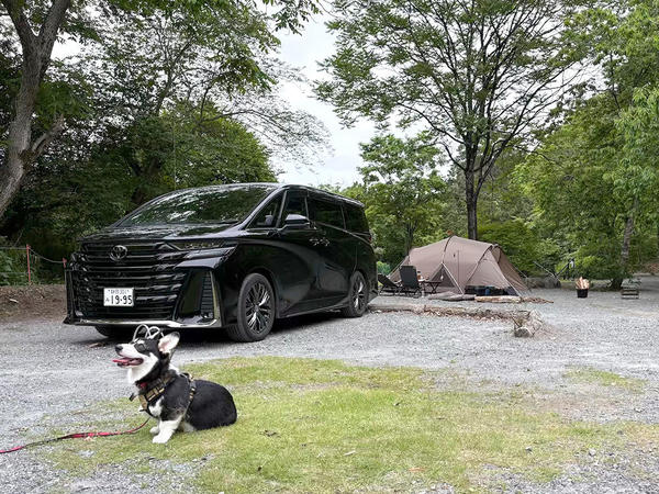 愛犬とパシャリ
